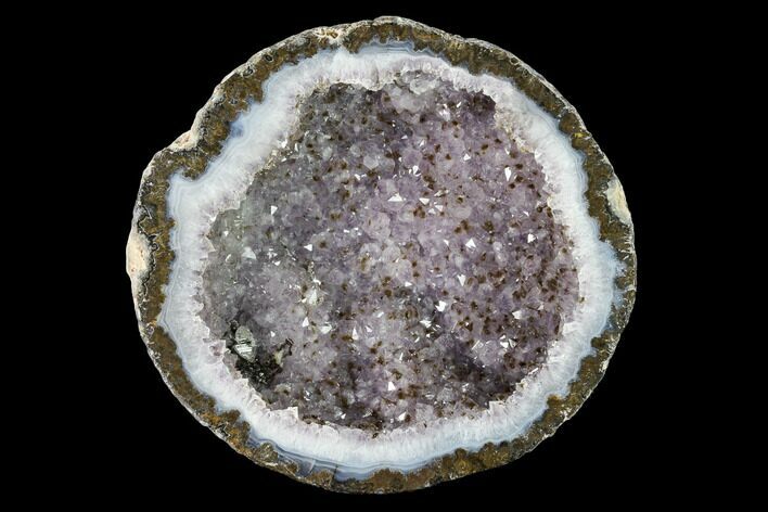 Las Choyas Coconut Geode Half with Amethyst & Calcite - Mexico #145869